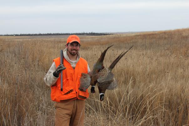 Pheasant Hunting Fall Season