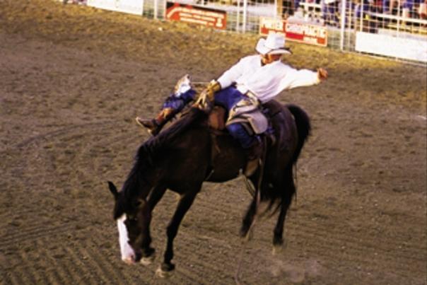 SW Big rodeo