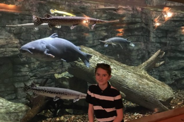 7 Fun Things To Do In Kansas City Kansas With Kids