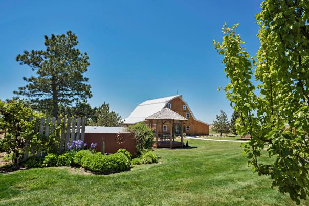Shiloh Vineyard WaKeeney