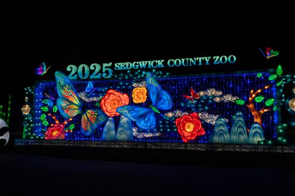 Wild Lights Visit Wichita