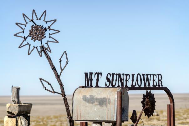 Mount Sunflower