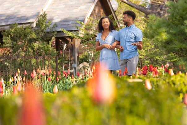 Man and a woman walk through a tulip patch