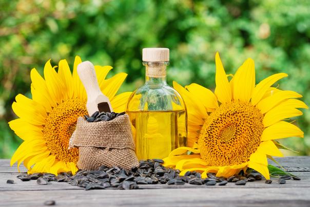 Sunflowers And Sunflower Oil