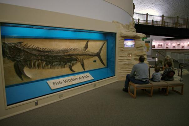 Fish inside a Fish Fossil