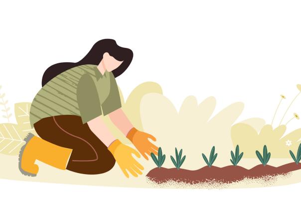 woman gardening illustration