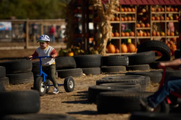 Pumpkin patch at A&H Farm in Manhattan, KS