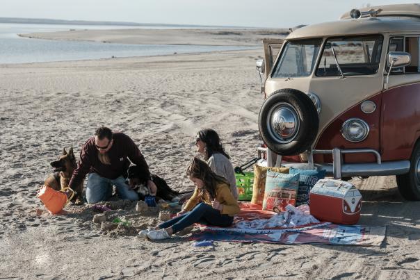 Fall Picnic at Martin Bay