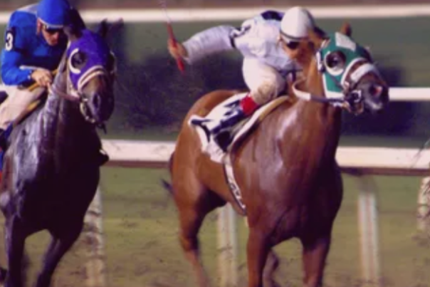 Quarter Horse Racing
