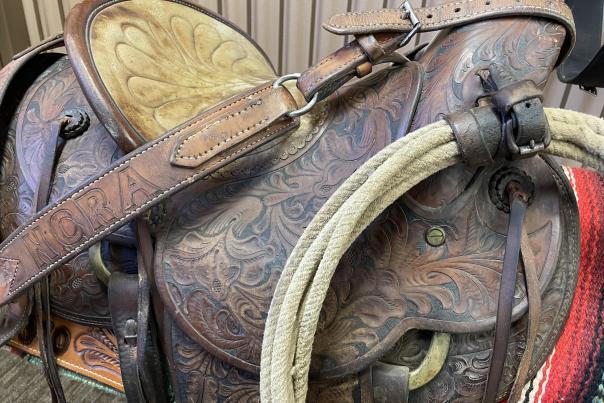 saddle feusner