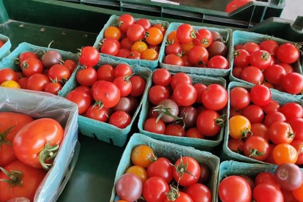 Farmer's Market tomatoes