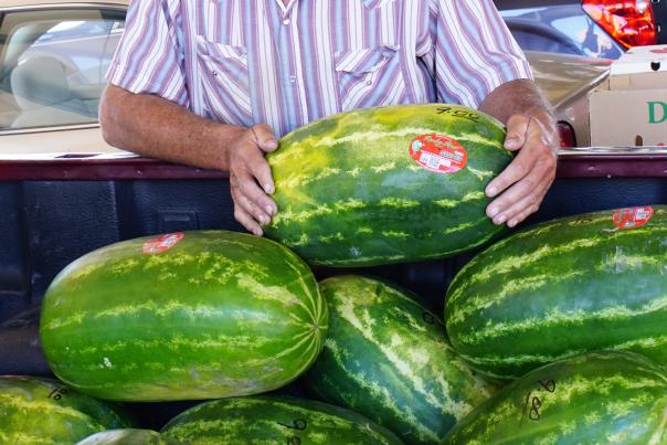 Ogallala Farmers Market