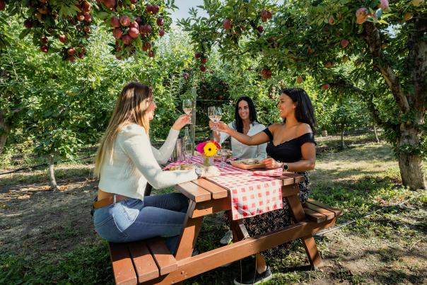 Picnic Wine Cider Tasting in the Apple Tree Orchard at The View Winery 1