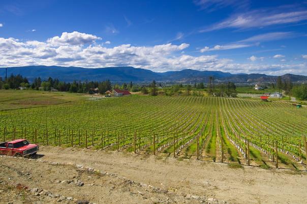 Kelowna's Southeast Bench