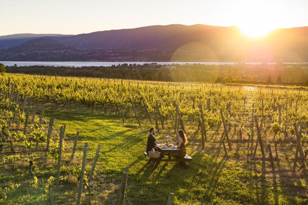 The View Vineyard Picnic