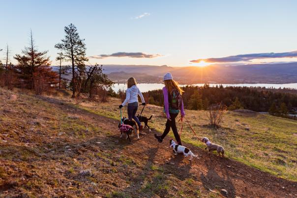 Rose Valley Regional Park - Hike with Dogs