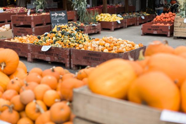Paynter's Fruit Market - Fall Scene (17)