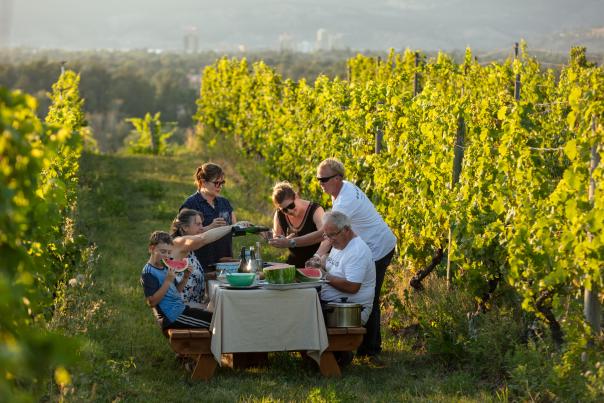 Sperling Vineyards-Summer in the Vineyard (10)