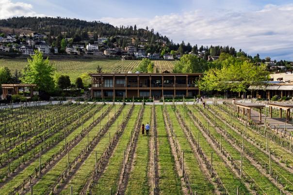 Quails Gate Winery Walking through the Vineyards 2