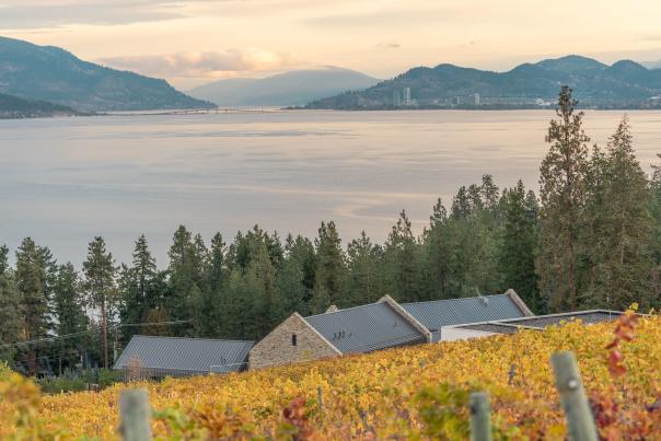 View of Downtown from CedarCreek Estate Winery 3
