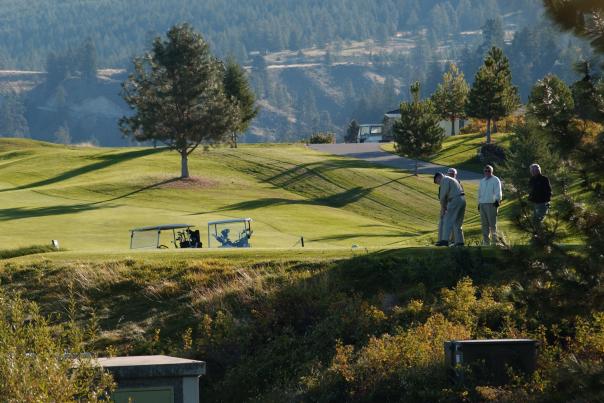 Gallaghers Golf and Country Club - The 6th Green