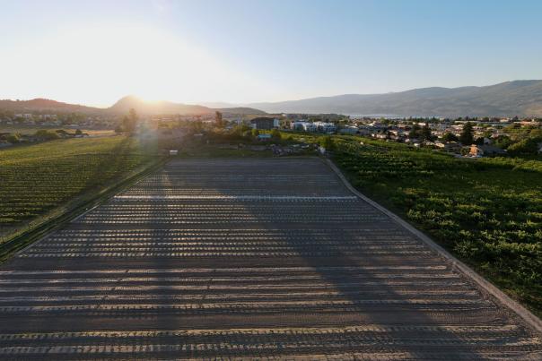Aerial View of Agricultural Fields at Sunset - Paynter's Fruit Market