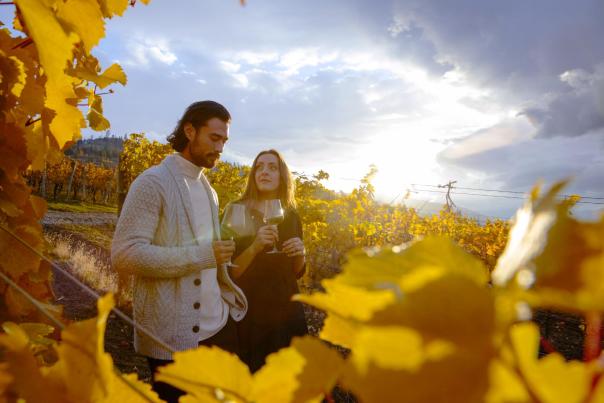 Couple in vineyard at CedarCreek Estate Winery (fall)
