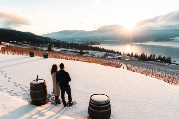 50th Parallel Winery in Winter