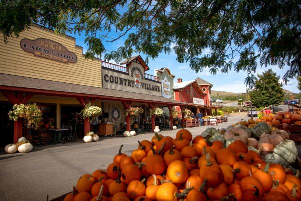 Davison Orchard
