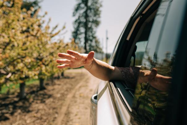 Spring 2025 Images: Hand Outside of Car Window in Orchard