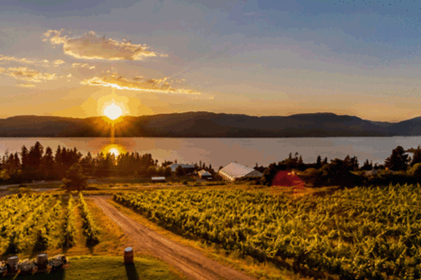 Lakeshore Wine Route - Summerhill