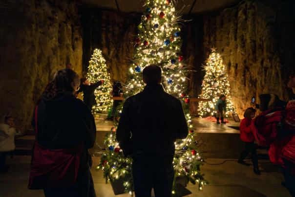 Festival of Trees at Mission Hill