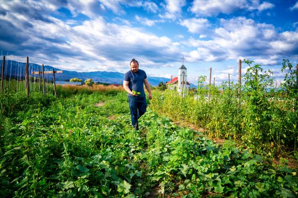 First Canadian Summit on Climate Action in Food Systems