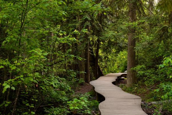 Mill Creek Regional Park Spring 1