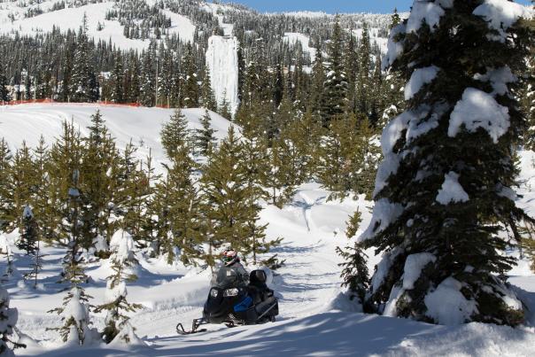 Skidoo at Big White