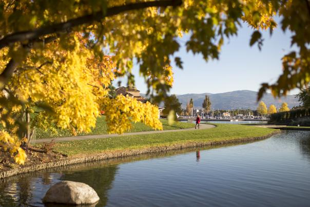 Waterfront Park in Fall