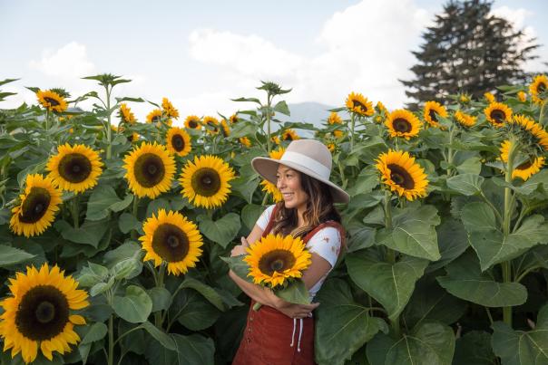 Yuriko Larson - Vintage Origami - Sunflowers