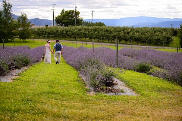 Couple at Lavender Farm