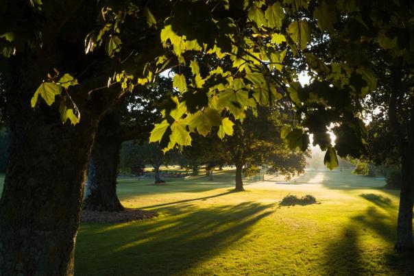 Listowel.ie Pitch and Putt Club