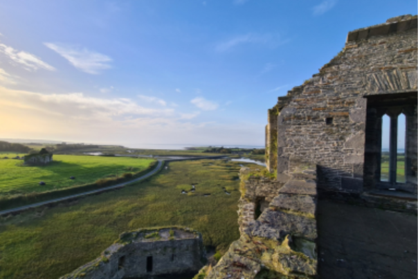 VISIT_Ballylongford_MOSAIC LANDSCAPE_Carrigfoyle_Castle_View_North_Kerry_Helen_Lane