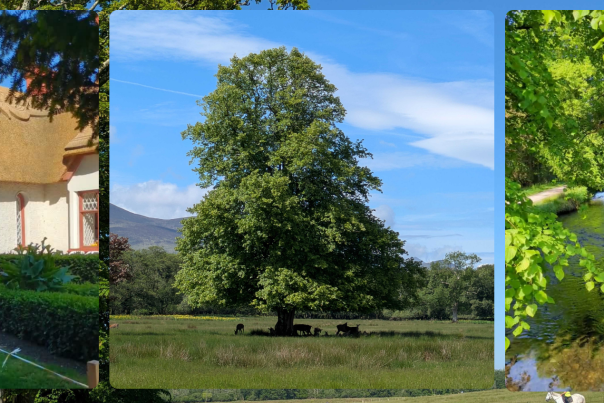 Visit Hero Blog Killarney National Park Cycle Family Friendly
