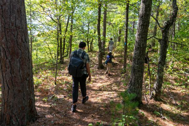 a trio of hikers walk ahead on a forested trail filtered with sunlight