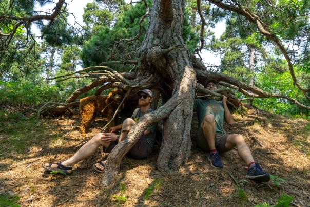 two figures sit in the shade of a tree's exposed roots