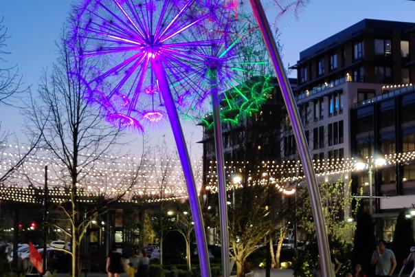 Stainless steel dandelions at Village at Totem Lake in the evening
