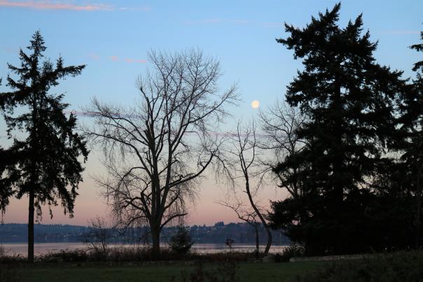 Morning at Heritage park