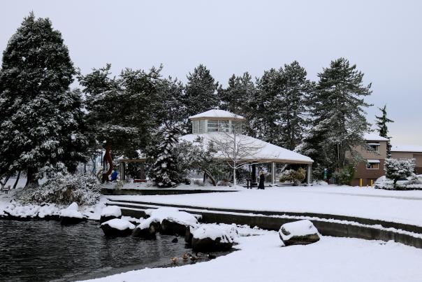 Snow Marina Park