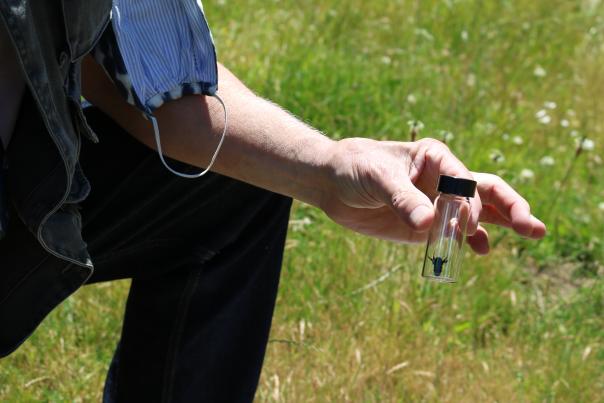 Man crouched down holding bee in small glass vial