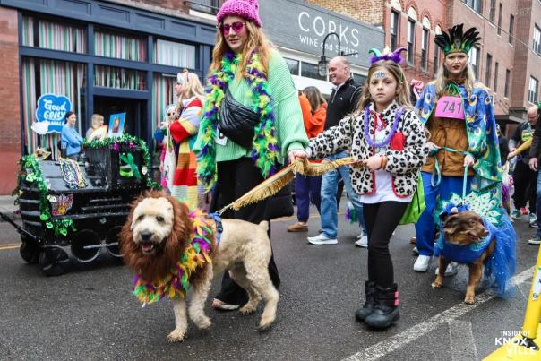 Mardi Growl