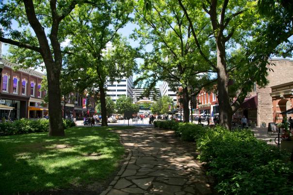Rock path surrounded by trees in Historic Market Square In Knoxville, TN