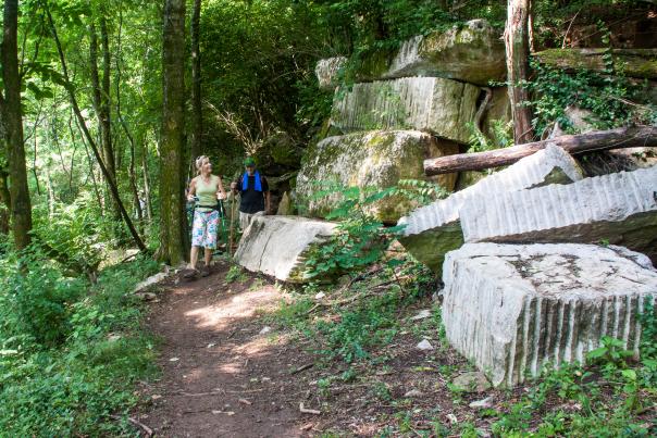 Urban Wilderness - Meads Hiking